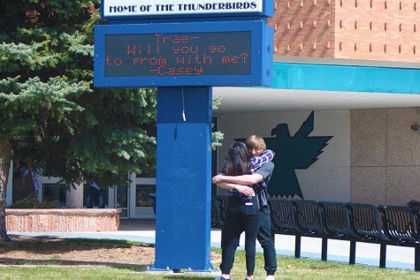 The Art of the Promposal