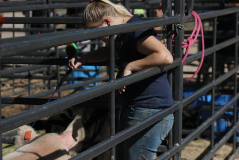 It’s not all cows and plows