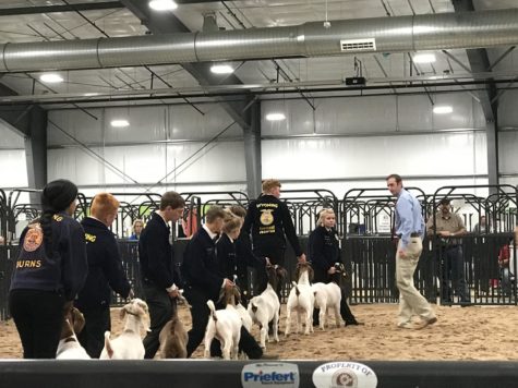 Thunderbird Nation Takes Over County Fair