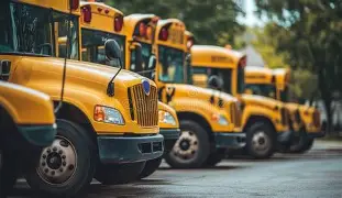 School busses